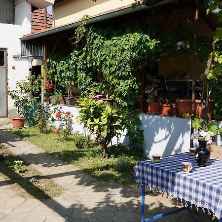 Etnobubi Apartment Novi Sip Exterior photo