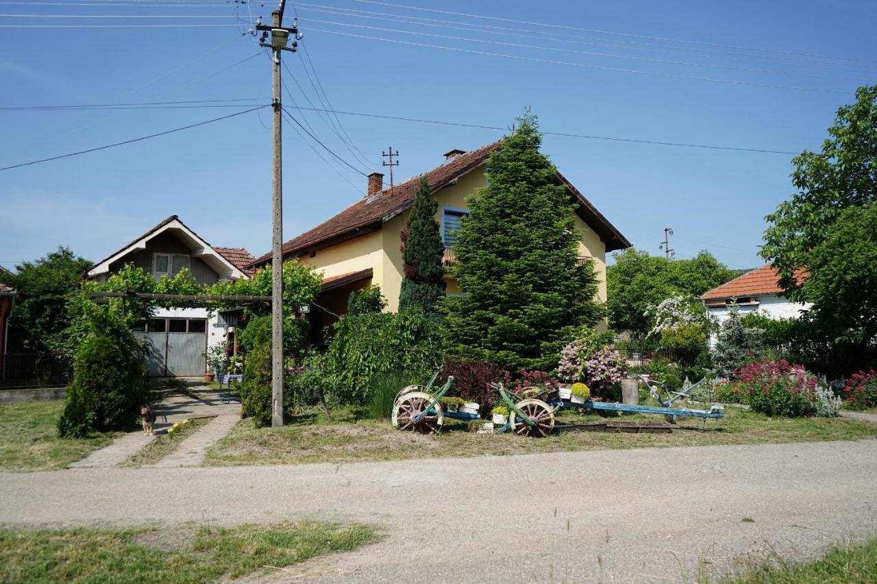 Etnobubi Apartment Novi Sip Exterior photo