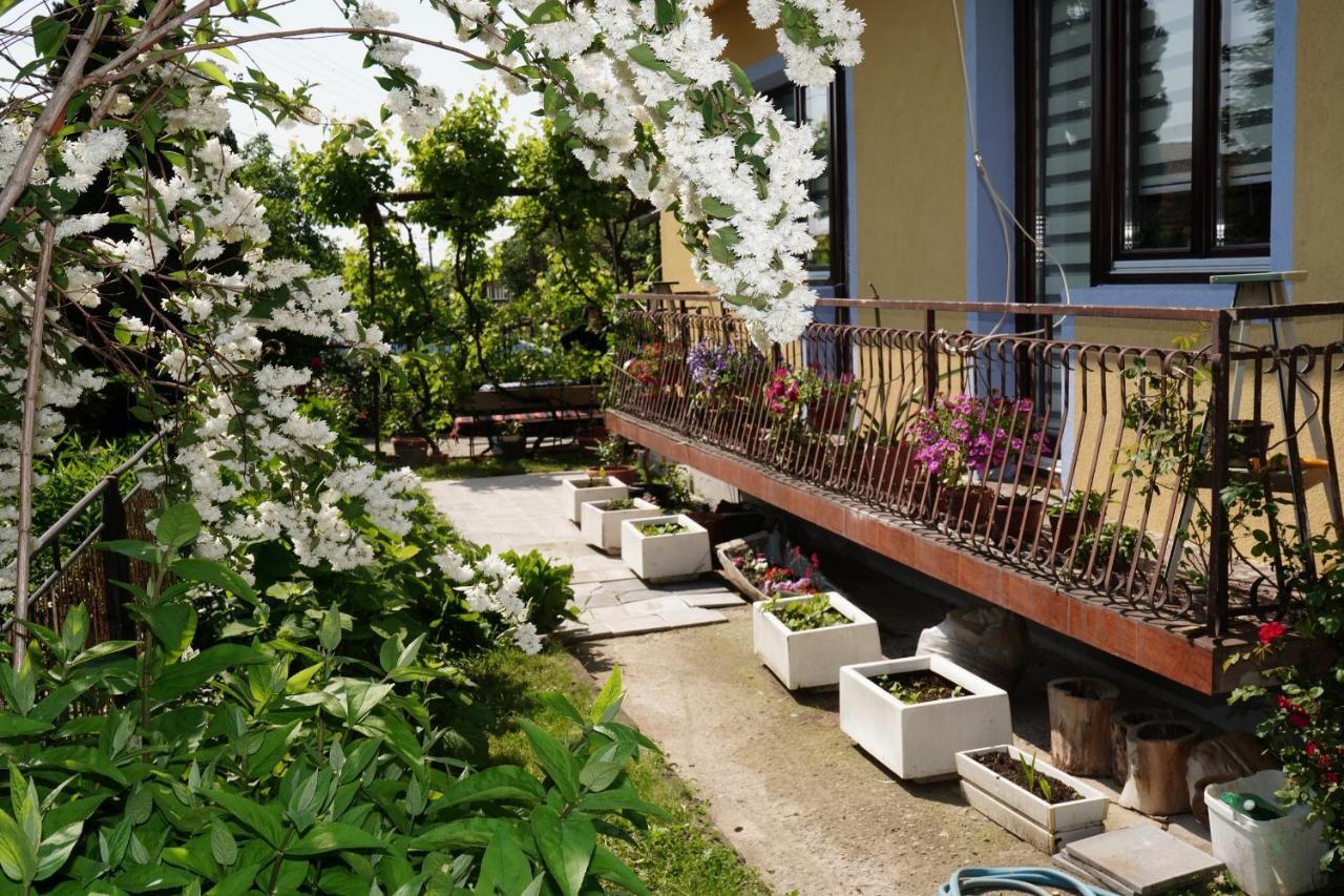 Etnobubi Apartment Novi Sip Exterior photo